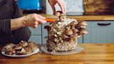 Why Mushroom Cultivation Is A Booming Craft Among Many Chefs