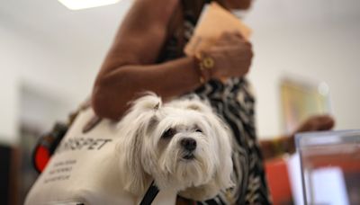 España inaugura en Málaga el primer cementerio público para mascotas