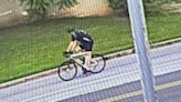 Bicyclist sought after striking York County elementary schooler at bus stop