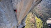 Climber Alex Honnold's morning routine and his 'win-win' climate solution: 'Taking any step at all is better than doing nothing'