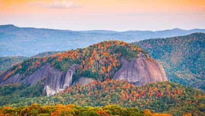 National Forest Week: Enjoy Nature — Without the Crowds