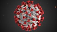 COVID-19 variant KP.3.1.1 becomes dominant in US: See latest CDC data