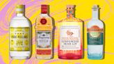 We Ranked Citrus-Flavored Gins To Mix With This Spring