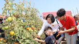 影／雲林牛番茄行銷世界 第1屆「喜番」生活節登場