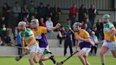 Duffry Rovers cruise to straightforward win over Faythe Harriers in Junior hurling championship