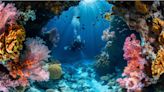 Dying coral reefs of the world