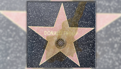 Fact Check: About That Claim That Trump's Hollywood Walk of Fame Star Had Drain Installed Because People Kept Peeing on It