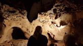 Some of the earliest-known cave drawings were from Neanderthals, not humans, and they're 57,000 years old