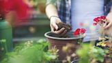 Anunciaron la segunda edición del programa de formación en Jardinería y Paisajismo