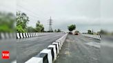 Tree obstructs new flyover inauguration in New Delhi | Delhi News - Times of India