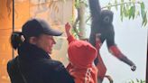 Laura Prepon and 3-Year-Old Son Make 'Friends' at the Museum — See the Sweet Photos!