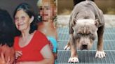 Murió la jubilada que fue atacada por cinco pitbulls mientras cortaba el pasto en Florencio Varela