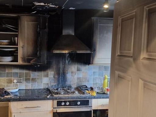 Person burnt after using dog bed to tackle fire