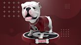 Commemorative UGA X bobblehead now on sale. Where to buy it online, in-store in Athens