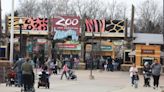 Columbus Zoo regains accreditation nearly 18 months after it was revoked by AZA