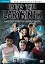 Into the Labyrinth (TV series)