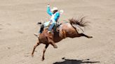 How to watch Run for a Million online: live stream the 2023 horse reining rodeo from anywhere