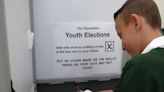 Pupils have their say in mock election