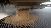La soja en EEUU cae por previsión de tiempo favorable, el maíz se fortalece