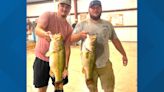 Tourney anglers catch massive bass on Lake Hamilton