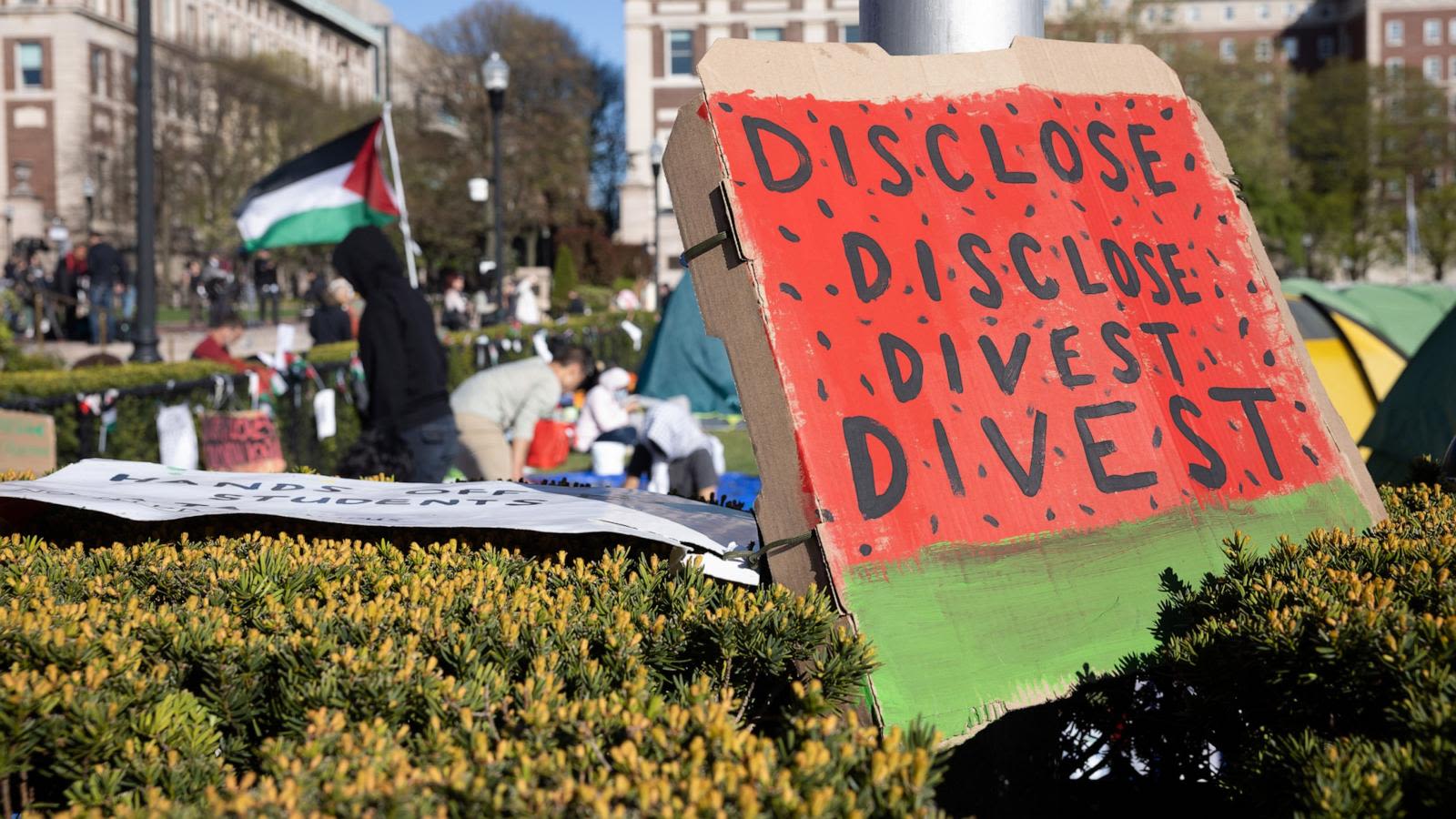 Campus protesters are demanding universities divest from Israel. Here's what that means.