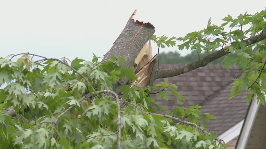 Storm causes damage in Eureka, Missouri