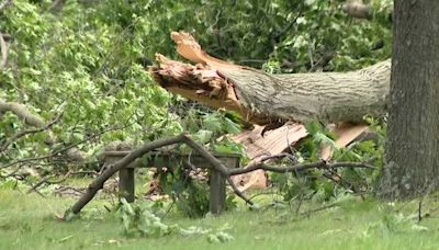 Community members in Westmoreland County clean up after tornado