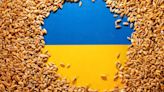 Ship insurance facility set up for Ukraine grain exports, says broker Miller