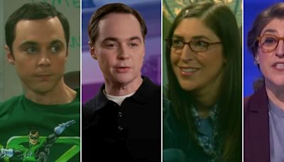 What the 'Big Bang Theory' cast has been working on since the show ended—and where to watch it all