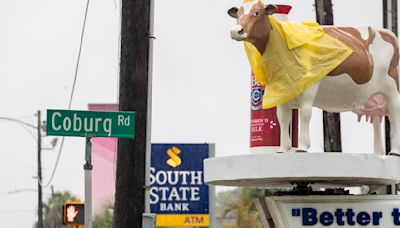 Why is the Coburg Cow Charleston's storm meter? A little history on Bessie.