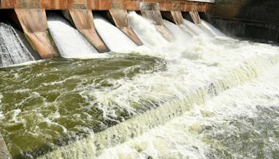 Water released from Vaigai dam to irrigate land in Madurai, Dindigul districts