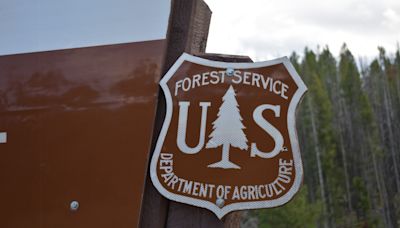 US Forest Service pilot hikes to safety after helicopter crash near central Idaho wildfire