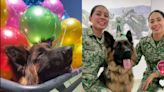 Festejan primer cumpleaños de Arkadas, perro rescatista, con fiesta en Campo Marte