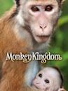 Monkey Kingdom