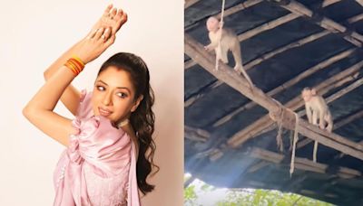 Monkeys take over ’Anupamaa’ set, Rupali Ganguly shares video