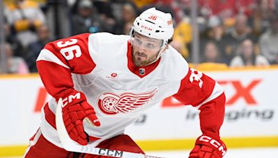 Red Wings re-sign checking-line forward Christian Fischer