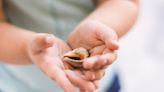 Mutter zu riesiger Strafzahlung verdonnert: Kinder sammelten Muscheln am Strand: