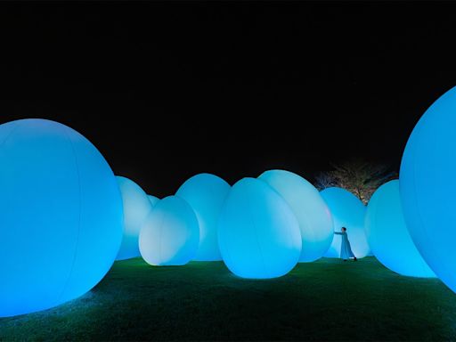 近賞 teamLab 香港戶外展覽：由陸地延伸至海上，一場大自然與人類結合的藝術展覽