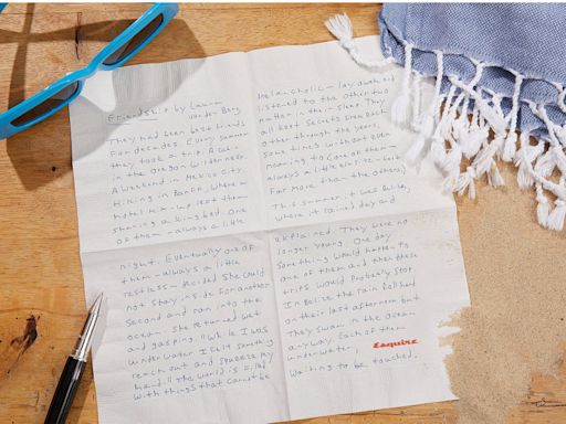 The Napkin Project (Summer Vacation Edition): Laura van den Berg