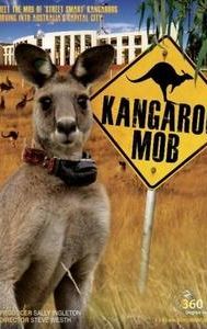 Kangaroo Mob