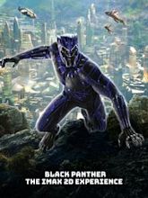 Black Panther (film)