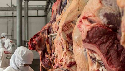 Bolivia elevó producción de carne bovina en 2023 - El Diario - Bolivia