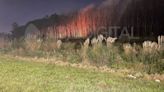 Dos incendios de pastizales en menos de 24 horas: Protección Civil prevé varios meses sin lluvias y elabora estrategias de respuesta