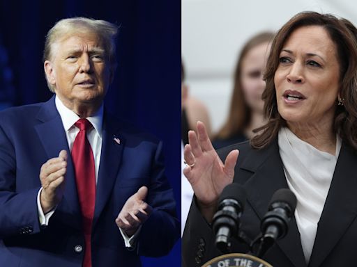 La campaña de Trump confía en que el entusiasmo generado por Kamala Harris será pasajero