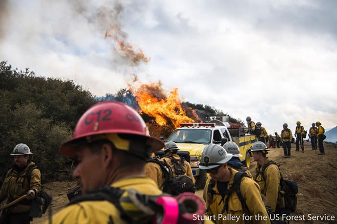 U.S. Forest Service to receive nearly $38 million in Thomas Fire settlement