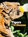 Tigers About the House