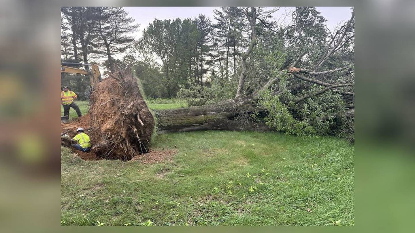 EF-1 tornado touched down in eastern Ohio, NWS says