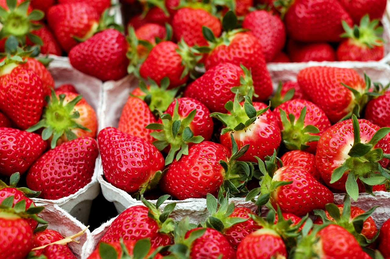 Liberty Ridge Farm to host annual Strawberry Festival