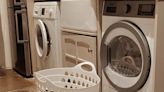 Everyone sees the washing machine but can you spot the hidden cat in 12 secs?