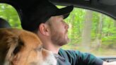 Chris Evans Celebrates National Rescue Dog Day with Adorable Photo of Himself and Pet Dodger